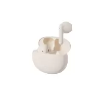 漫步者(EDIFIER)N2 Pods 真无线蓝牙耳机