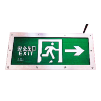 顶火(深圳光明顶)GM-BLZD-1LROE I 3W/GMD9(单面) 消防应急标志灯具