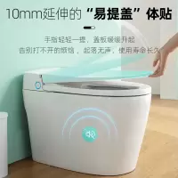 东鹏(DONG PENG)轻智能坐便器400坑距W886105FZQ