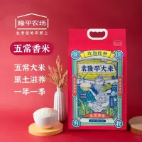 袁隆平 大米(五常香米) 2.5kg