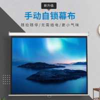 爱国者(AIGO)投影幕布(单位:个)