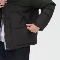 波司登 羽绒服 8056 男 1件