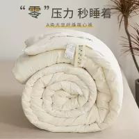 南极人(NanJiren)家纺 柔软大豆被A类大豆纤维被子冬被春秋被加厚保暖冬季棉被芯单人学生宿舍