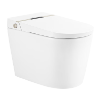 东鹏(DONG PENG)星睿智能坐便器305坑距W880105TZQ