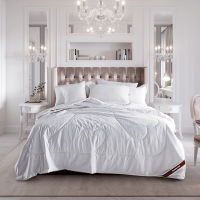 多喜爱Dohia 蚕丝被春秋被 芯舒适透气蚕丝被子 第二代丝雅蚕丝秋被