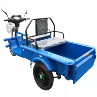 JUNXU 电动三轮货车电动三轮车 标配1.2米车厢+48伏20安电池