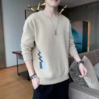 卫衣男早秋季2022新款宽松潮流百搭圆领上衣套头秋装长袖t恤