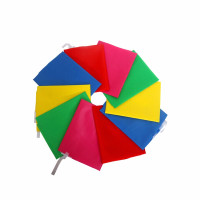 普通党+旗 顺胜288*192cm