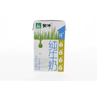蒙牛纯牛奶250ml-JH