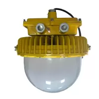 (深圳光明顶)GMD8170-200W 220V 防护等级:IP66 防爆平台灯
