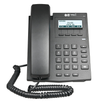 白恩 呼叫中心座机网络IP电话机