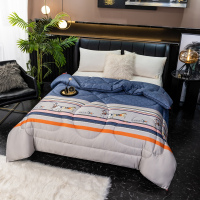 王室日记 印花丝绸蚕香被B-201003(2*2.3m)