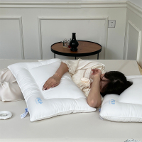 枕头枕芯家用枕芯一对装学生单宿舍低中高枕柔软可水洗保暖羽丝绒