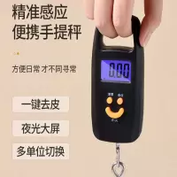 弘兴 手提秤 高精度50KG便携式弹簧秤行李秤 手提电子秤 商用快递秤电子称 (SL)--单位:个