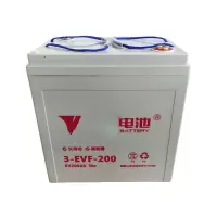 道明特蓄电池 3-EVF-200