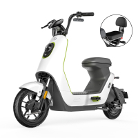 电动车小型代步电瓶车 48V16A 幻彩白