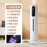 志高(CHIGO)加湿器家用轻音喷雾机大雾量香薰净化超声波雾化空气卧室内孕妇婴儿SJ-S601