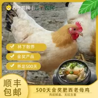 五个农民 安徽金奖 肥西产 老母鸡1250g 无抗 散养500天