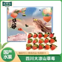 [苏鲜生][礼盒装]四川大凉山草莓 新鲜冬草莓 约3斤 4盒 单盒15枚 当天现摘现发 露天种植 香甜多汁