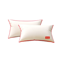 费雪(Fisher-Price)情系时光对枕 枕头*2 FP-JF003