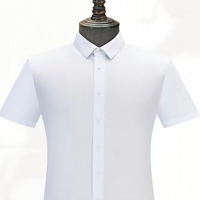 罗蒙男款衬衫短袖M码(请提前沟通实际发货款式和尺码)