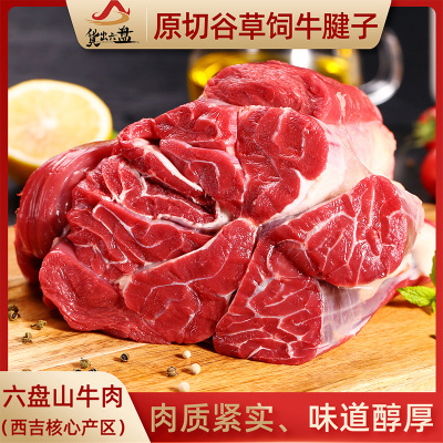 货出六盘 宁夏西吉 牛腱子肉 新鲜牛肉 牛腱微调理冰鲜火锅烧烤食材 牛腱子肉 2斤