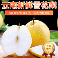 [西沛生鲜]云南精品雪花梨 新鲜水果 松脆多汁 净重3斤 单果250-400g 西沛生鲜