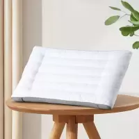 水星(MERCURY) 水星家纺 DH贝利芙薰衣草抗菌枕 48cm*74cm