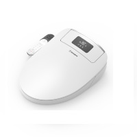 西屋(WESTINGHOUSE) 智能马桶盖 WHJ-B593(LX)