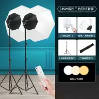 补光灯 双灯|[245W三色遥控]+全景八角柔光箱+2.1灯架 1套