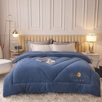 红蜻蜓新款水晶绒冬被被子被芯