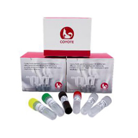 卡尤迪(COYOTE) 48E PCR分析荧光定量检测仪 配套耗材10混1套餐 10000人份 (单位:套)