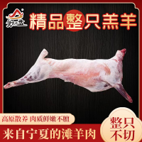 货出六盘 宁夏西吉 精选农户散养 宁夏滩羊精品羔羊肉 整羊15公斤左右