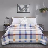 無印良品 无印格调云貂绒毯180*200cm MJ-TZ21-09(LX)