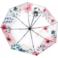 红叶(HONG Ye) 五折午后闲时伞D5659