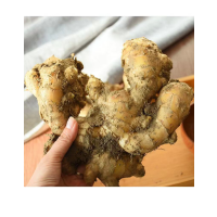 箫御茗 山东新鲜小黄姜/斤(BY)