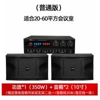 飞威会议室专用麦克风 20~60平方会议室音响套装[功放*1(350W)+音箱*2(10寸)]单位:套