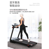 家康乐FN-4000DS豪华电动跑步机