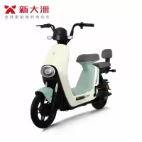 派乐/PALLA 乐颜 成人48V铅酸电池男女代步新大洲助力电动自行车 素颜绿