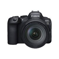 佳能(Canon)EOS R6 Mark II 新标准全画幅微单相机R62 L级24-105标准镜头套装