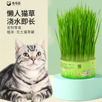 卷尾巴 森森植美无土猫草猫草种子懒人猫草片猫咪零食猫草罐头猫零食水培种植猫咪用品苏宁宜品