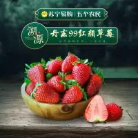 五个农民 丹东99草莓 精品草莓 新鲜东港九九红颜草莓 2斤中果 单果20-30g