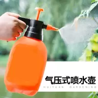 大千 2L喷壶