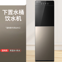 饮水机下置水桶立式温热棕色