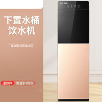 饮水机下置水桶立式温热金色