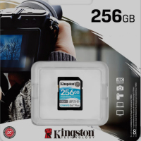 ZZYMPS 金士顿内存卡256G (单位:个)