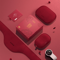 小窝厘 质零 智能温控电热暖水袋 ZS1101 红色