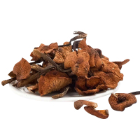 黑土优选 野生精选榛蘑185g/袋 东北特产 山珍年货干货 煲汤火锅 小鸡炖蘑菇食材