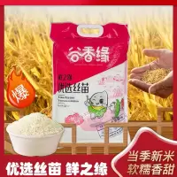 新禾皖A香丝苗10KG/袋