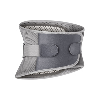 护腰带L码数+3盒腰椎贴+支撑垫